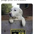 Does Not Bite