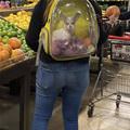 Dog Backpack