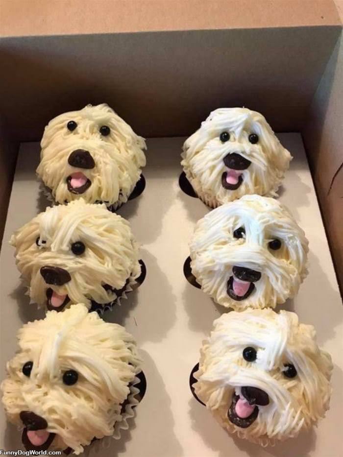 Dog Cupcakes