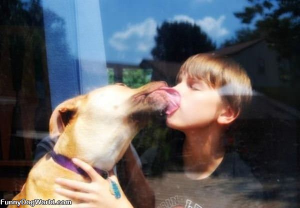 Dog Lick