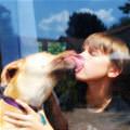 Dog Lick