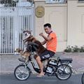 Dog On A Bike