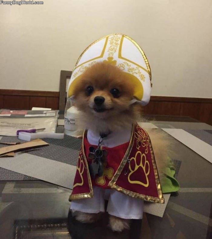 Dog Priest