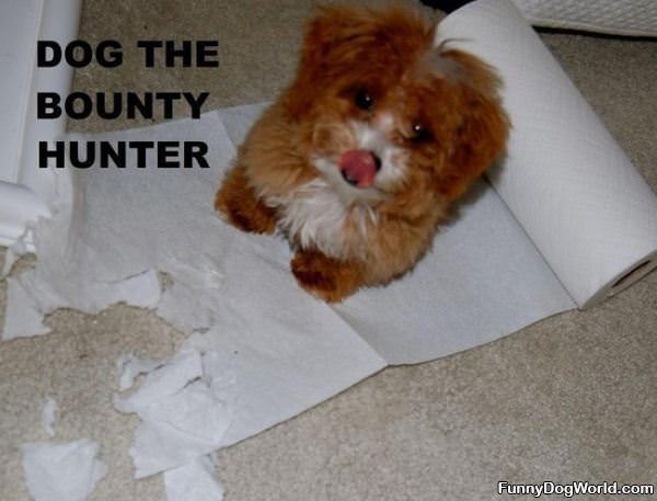 Dog The Bounty Hunter