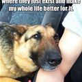 funny dog 3