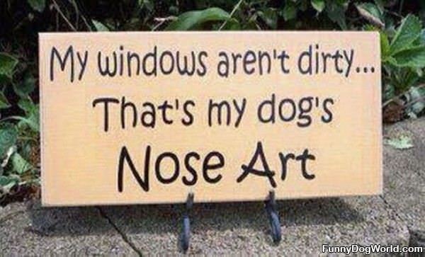 Dogs Nose Art