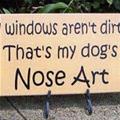 funny dog 2