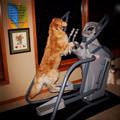 Doing My Workouts
