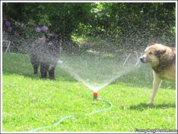 Doing Some Cooling Off