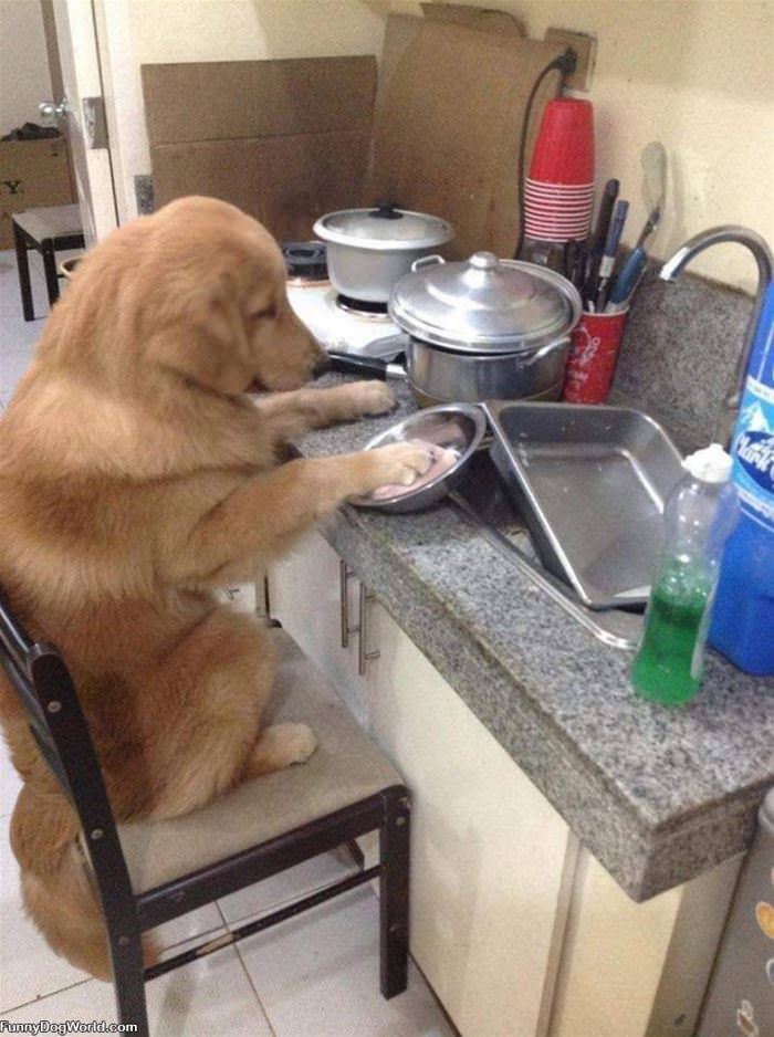 Doing Some Dishes