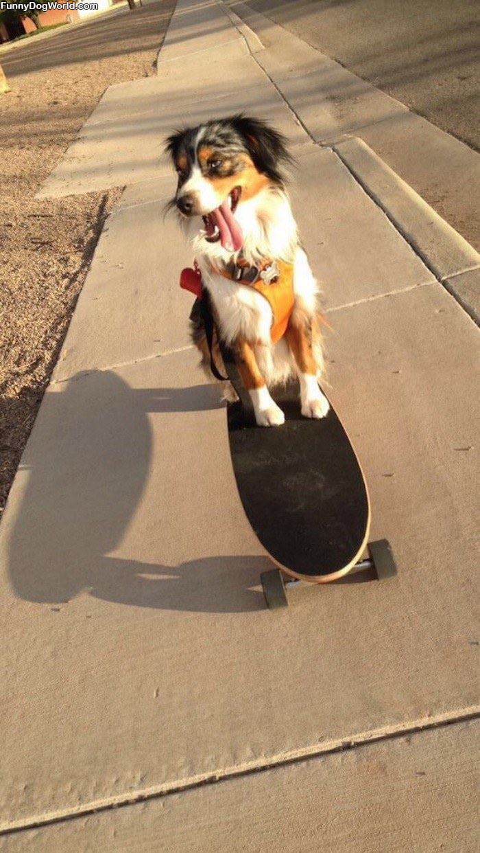 Doing Some Skating