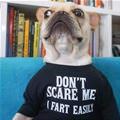 Dont Scare Me