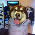 Dressed To Go Out