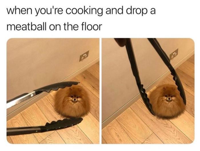 Dropped A Meatball