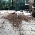 Dug This Hole