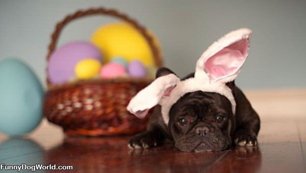 Easter Makes Me Sad