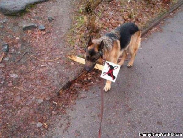 Eating The Sign