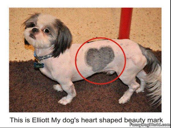 Elliots Heart
