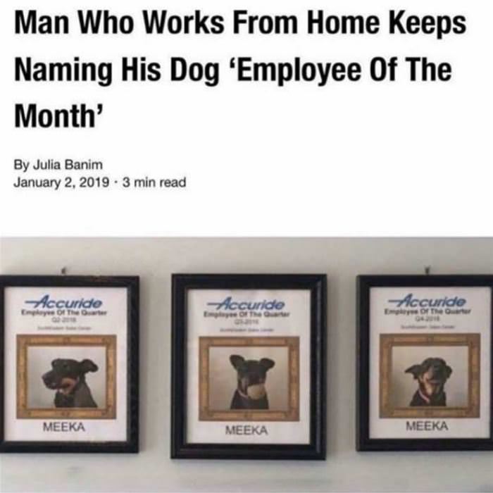 Employee Of The Month