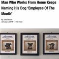 Employee Of The Month