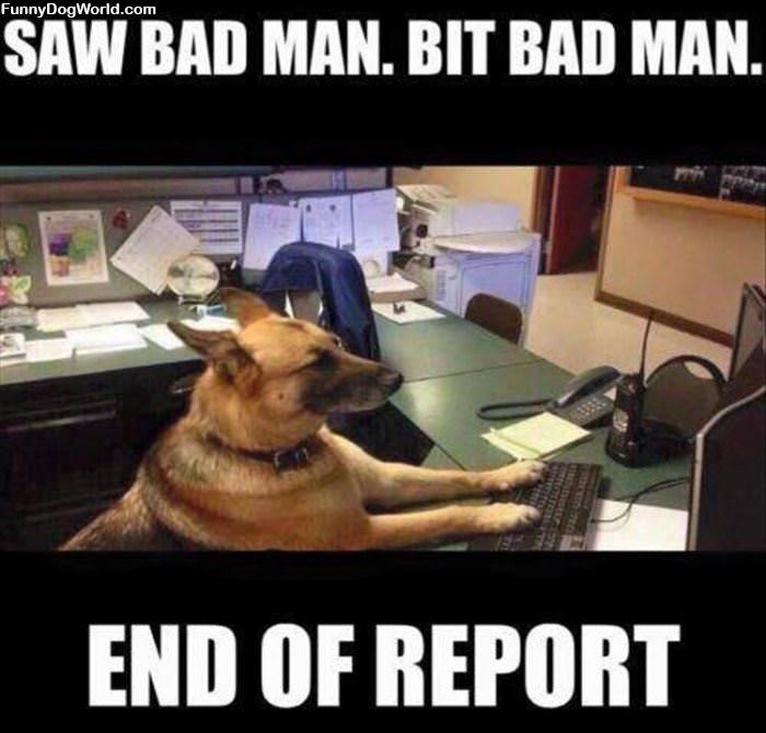 End Of Report