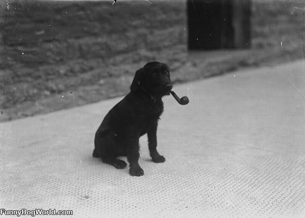 Enjoying A Nice Pipe