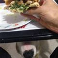 Every Bite You Take