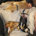 Everyone Having A Lazy Day