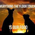 Everything That Touches The Floor