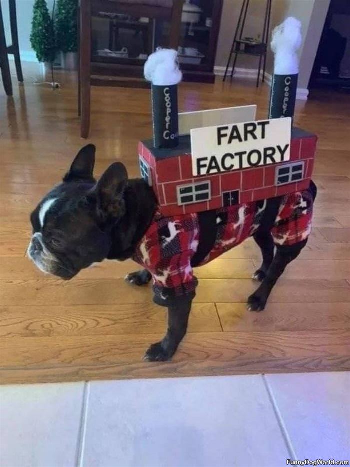 Fart Factory