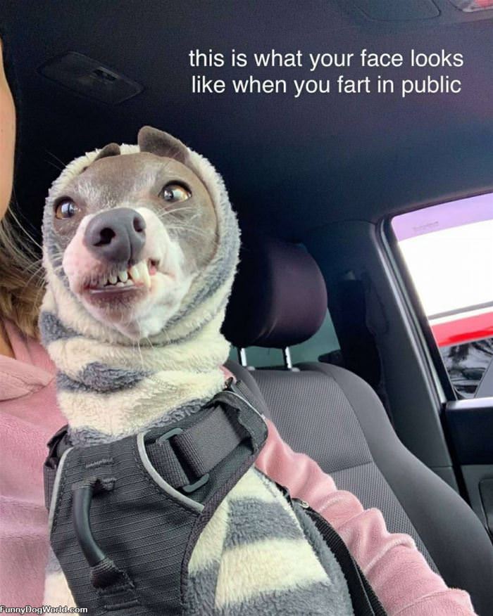 Farting In Public