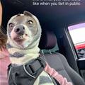 Farting In Public