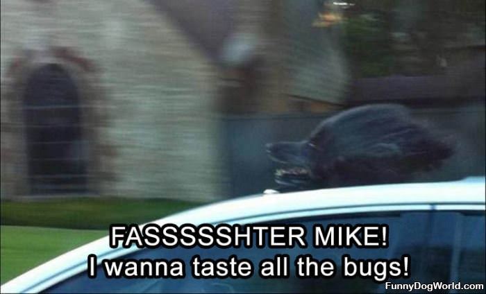 Fasterrrrr Mike