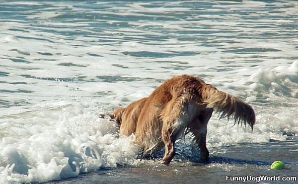 Fighting The Water