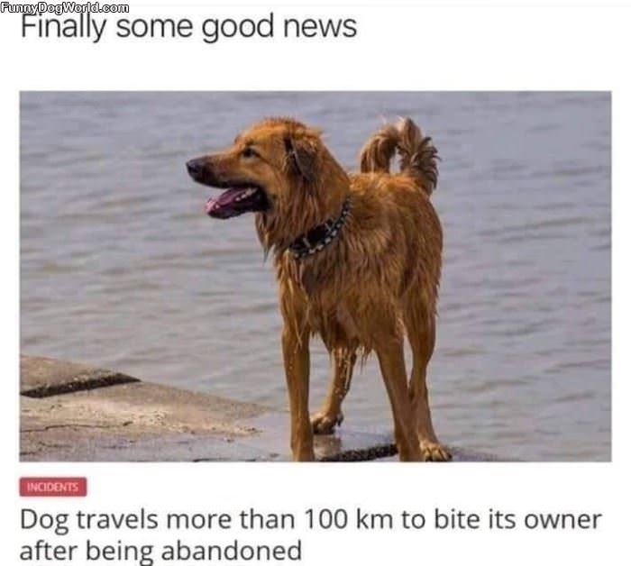 Finally Some Good News