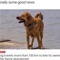 Finally Some Good News