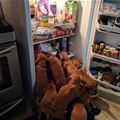 Find The Snack