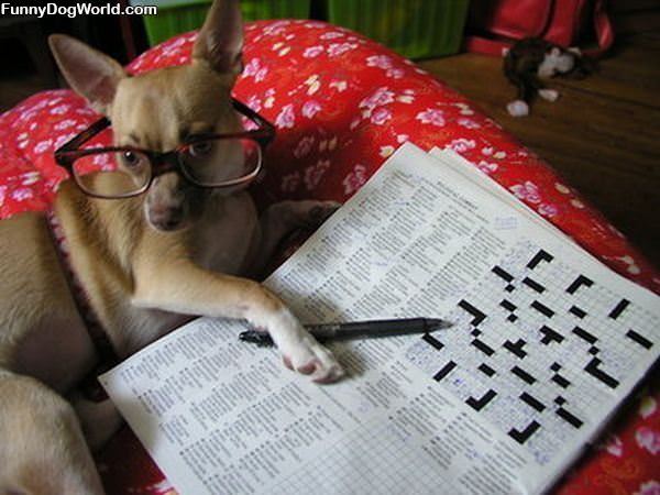 Finished Your Crossword