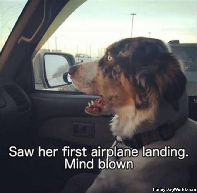 First Airplane Landing