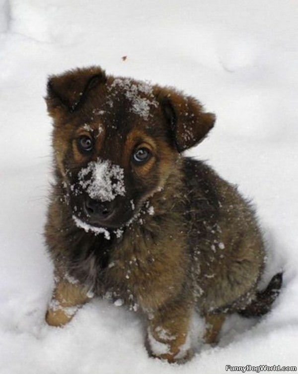 First Time In The Snow