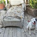 Fixed Your Bed