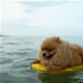 Floating Around