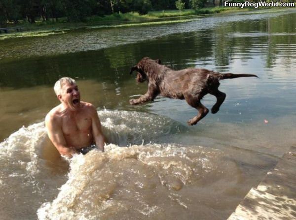 Flying Attack Dog