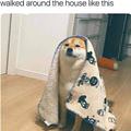 Forced Out Of Bed