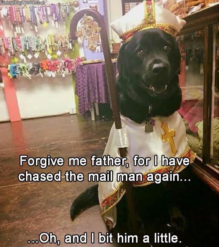 Forgive Me Father