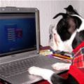 Forgot My Password