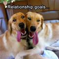 Friendship Goals