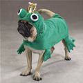 funny dog 2