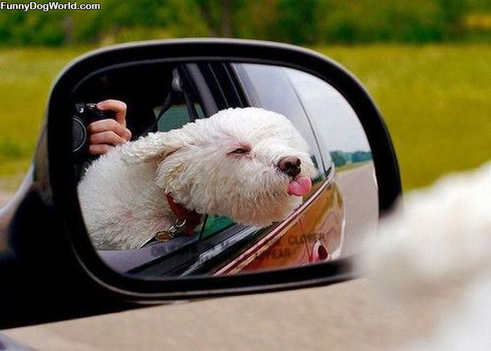 Fun On A Windy Day