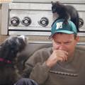 Get Out Of Here Cat